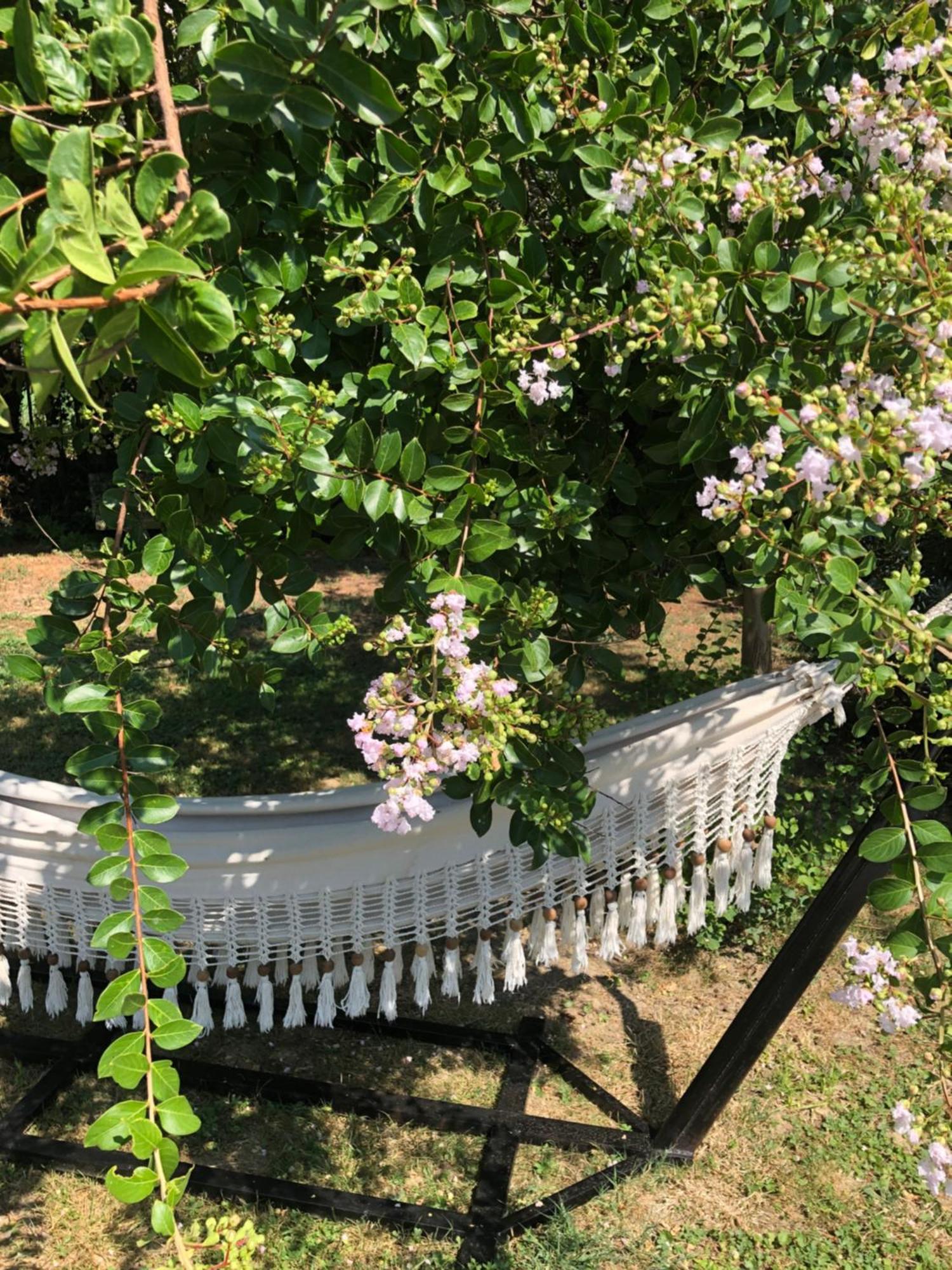 La Bastide De Negra Bed and Breakfast Montesquieu-Lauragais Eksteriør billede
